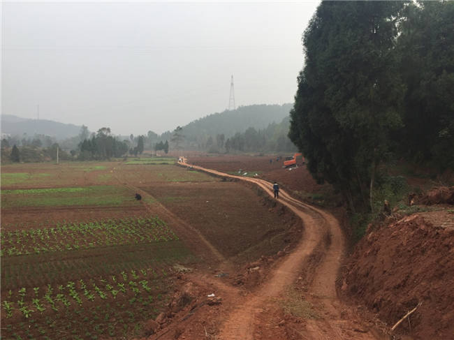 我公司植保團隊老師再次來到德陽生態農業基地進行售后跟蹤指導