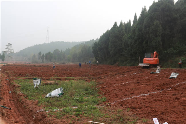 我公司植保團隊老師再次來到德陽生態農業基地進行售后跟蹤指導