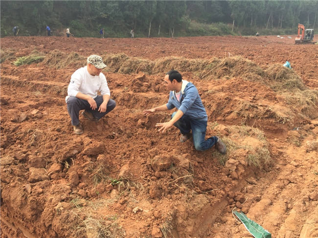我公司植保團隊老師再次來到德陽生態農業基地進行售后跟蹤指導