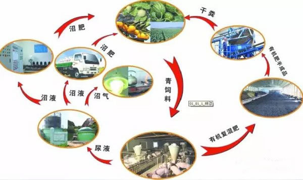 內容.jpg